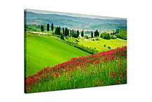 Obraz Summer land zs24729