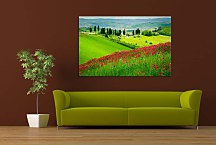 Obraz Summer land zs24729