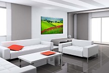 Obraz Summer land zs24729