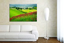 Obraz Summer land zs24729