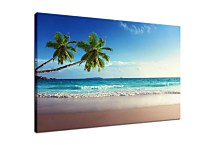 Obraz Tropická pláž zs24878