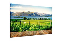 Obraz Vinohrad pri jazere zs24896