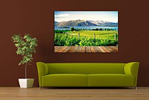 Obraz Vinohrad pri jazere zs24896