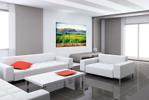 Obraz Vinohrad pri jazere zs24896