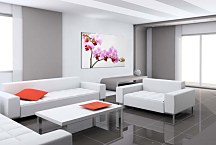 Obraz Orchid zs24831