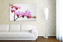 Obraz Orchid zs24831