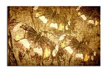 Obraz Abstraktný Motýle zs24408