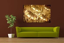 Obraz Abstraktný Motýle zs24408