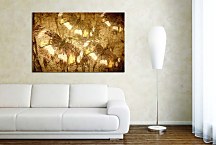 Obraz Abstraktný Motýle zs24408