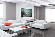 Obraz Biely tiger zs5377