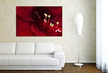 Obraz Bordový Kvet zs4687