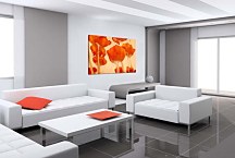 Obraz Divé Maky zs2044