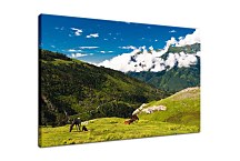 Príroda Obrazy zs24404