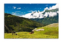 Príroda Obrazy zs24404