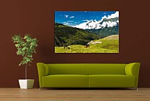 Príroda Obrazy zs24404