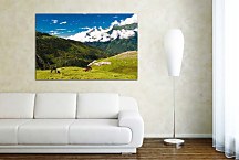 Príroda Obrazy zs24404