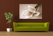 Obraz Kvet Kala zs4378