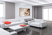 Obraz Kvet Kala zs4378