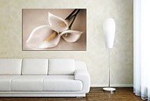 Obraz Kvet Kala zs4378