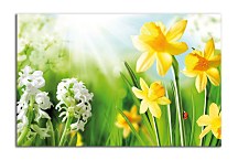 Obraz Kvet Narcis zs24428