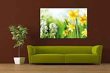 Obraz Kvet Narcis zs24428