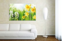 Obraz Kvet Narcis zs24428