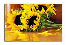 Obraz Kvety - Slnečnice zs5421