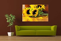 Obraz Kvety - Slnečnice zs5421