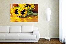 Obraz Kvety - Slnečnice zs5421