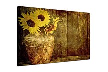 Obraz Kvety Kytica Slnečníc zs6667