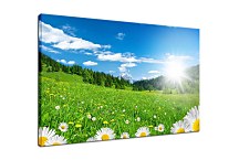 Príroda Obrazy zs6228