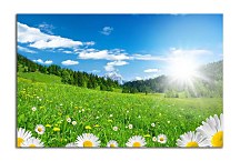 Príroda Obrazy zs6228