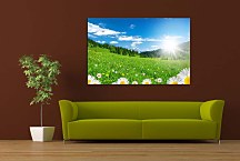 Príroda Obrazy zs6228