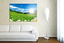 Príroda Obrazy zs6228