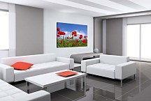 Obraz Kvety Maky zs6368