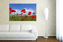 Obraz Kvety Maky zs6368
