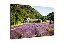 Obraz Levanduľové pole zs24028