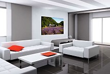 Obraz Levanduľové pole zs24028