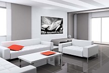 Obraz Lietadlo zs6186