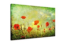 Obraz Lúka divých makov  zs6227