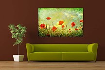 Obraz Lúka divých makov  zs6227