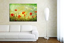 Obraz Lúka divých makov  zs6227