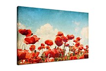 Obraz Lúka s makmi zs6738