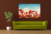 Obraz Lúka s makmi zs6738