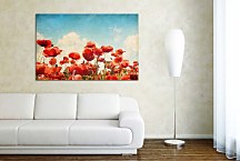 Obraz Lúka s makmi zs6738