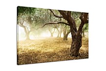 Obraz s Prírodou zs6317