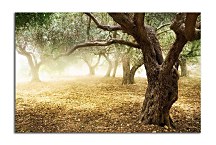 Obraz s Prírodou zs6317