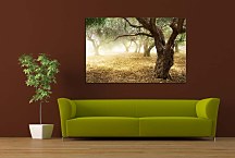 Obraz s Prírodou zs6317