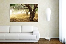 Obraz s Prírodou zs6317