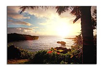 Obrazy s  Prírodou zs4319